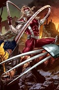 WOLVERINE #5-UNKN-B 