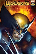 WOLVERINE #10-UNKN-B 