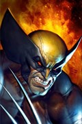 WOLVERINE #10-UNKN 