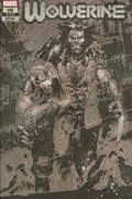 WOLVERINE #10B 