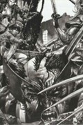 WOLVERINE #5-UNKN-D 