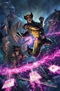 WOLVERINE #17-UNKN-B 
