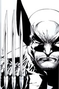 WOLVERINE #23-CONEX 