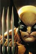 WOLVERINE #23-ILLUM-B 