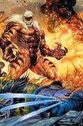 WOLVERINE #42-ILLUM-B 