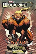 WOLVERINE #45B 