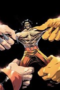 WOLVERINE #48-RI 