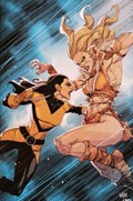 WOLVERINE #47-RI-B 