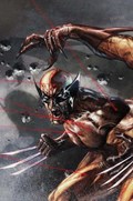 WOLVERINE #26-UNKN 