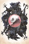 JIM HENSON'S THE DARK CRYSTAL: AGE OF RESISTANCE #11C 