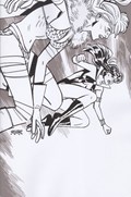 VAMPIRELLA / RED SONJA #11-RI-F 