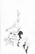 VAMPIRELLA / RED SONJA #12-RI-I 