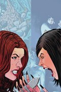 VAMPIRELLA / RED SONJA #8-RI-J 