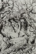 VENGEANCE OF VAMPIRELLA #19-RI 