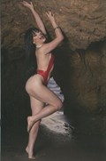 VENGEANCE OF VAMPIRELLA #14-RI-D 