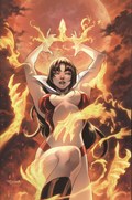 VENGEANCE OF VAMPIRELLA #25-RI 