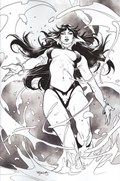VENGEANCE OF VAMPIRELLA #20-RI-D 