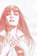 VENGEANCE OF VAMPIRELLA #1-RI-E 
