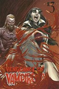 VENGEANCE OF VAMPIRELLA #3C 