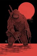 TEENAGE MUTANT NINJA TURTLES: THE LAST RONIN #1-CYN 