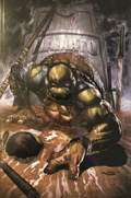 TEENAGE MUTANT NINJA TURTLES: THE LAST RONIN #1-CKC 