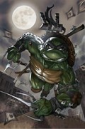TEENAGE MUTANT NINJA TURTLES: THE LAST RONIN #1-SLAB-B 