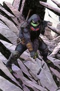 TEENAGE MUTANT NINJA TURTLES: THE LAST RONIN #1-TCV-B 