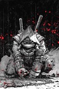 TEENAGE MUTANT NINJA TURTLES: THE LAST RONIN #1-HIVE-B 