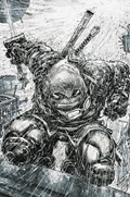 TEENAGE MUTANT NINJA TURTLES: THE LAST RONIN #1-EVOLV-B 