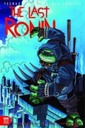 TEENAGE MUTANT NINJA TURTLES: THE LAST RONIN #5-SUB-B 