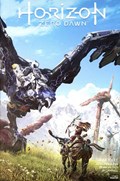 HORIZON: ZERO DAWN #1B 