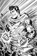 FIRE POWER #12-RI-B 