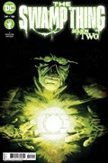THE SWAMP THING #14 