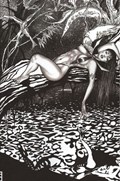 VAMPIRELLA VERSUS PURGATORI #5-RI-C 