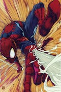NON-STOP SPIDER-MAN #2-RI-B 