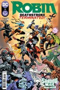 ROBIN #14 