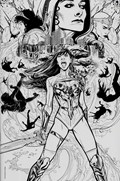 WONDER GIRL #1-RI-B 