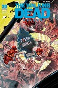 THE WALKING DEAD DELUXE #34C 