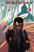 THE WALKING DEAD DELUXE #63C 