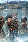 THE WALKING DEAD DELUXE #83C 