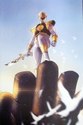 MIGHTY MORPHIN #19-RI-D 