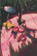 POWER RANGERS #3-RI-B 