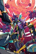 POWER RANGERS #15-RI-D 