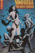 VAMPIRELLA: THE DARK POWERS #1-RI-B 