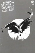 BATMAN: BLACK AND WHITE #5 