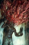 NITA HAWES NIGHTMARE BLOG #1-SSCO 