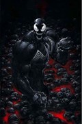 VENOM #3-BFLAG-B 