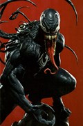 VENOM #25-BRYS 