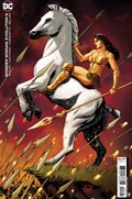 WONDER WOMAN: EVOLUTION #6B 