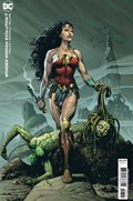 WONDER WOMAN: EVOLUTION #7B 